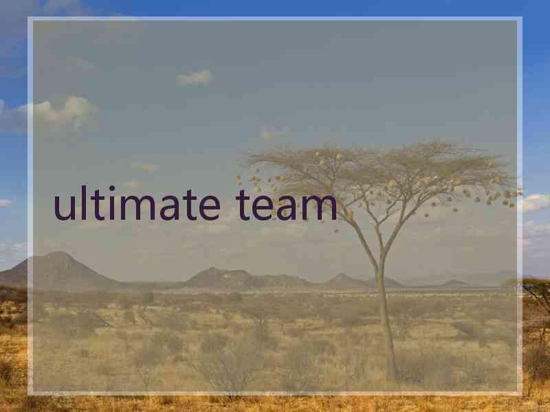 ultimate team