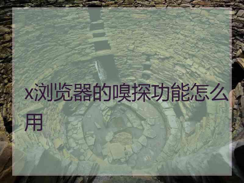 x浏览器的嗅探功能怎么用