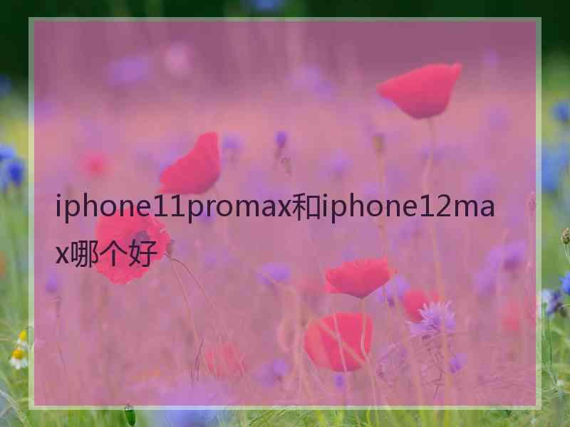 iphone11promax和iphone12max哪个好