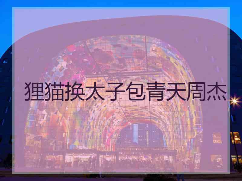 狸猫换太子包青天周杰