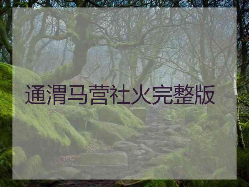 通渭马营社火完整版