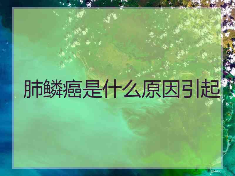 肺鳞癌是什么原因引起