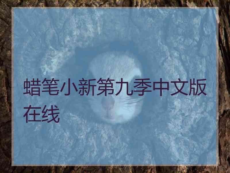 蜡笔小新第九季中文版在线