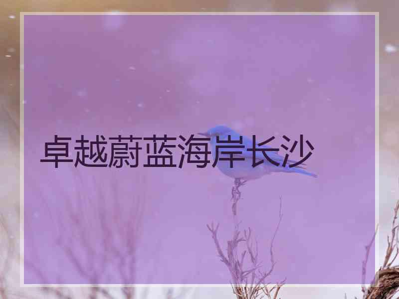 卓越蔚蓝海岸长沙