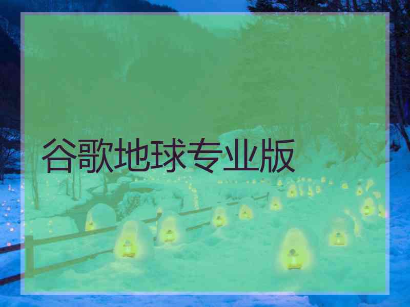 谷歌地球专业版