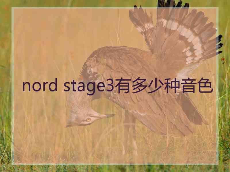 nord stage3有多少种音色