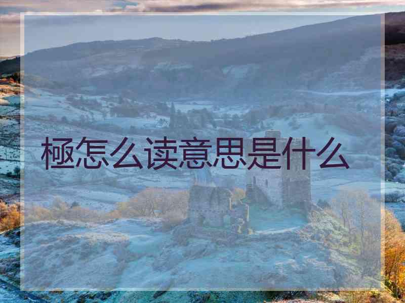 極怎么读意思是什么