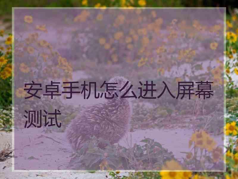 安卓手机怎么进入屏幕测试