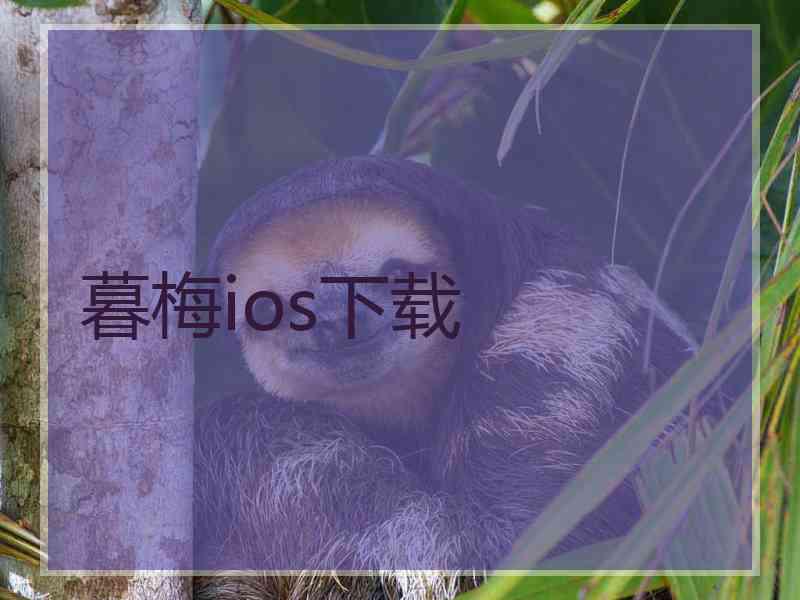 暮梅ios下载