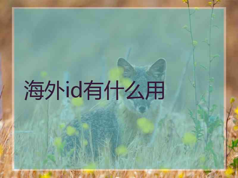 海外id有什么用