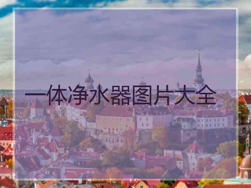 一体净水器图片大全