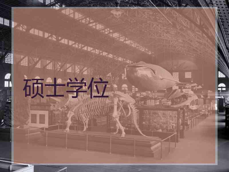 硕士学位