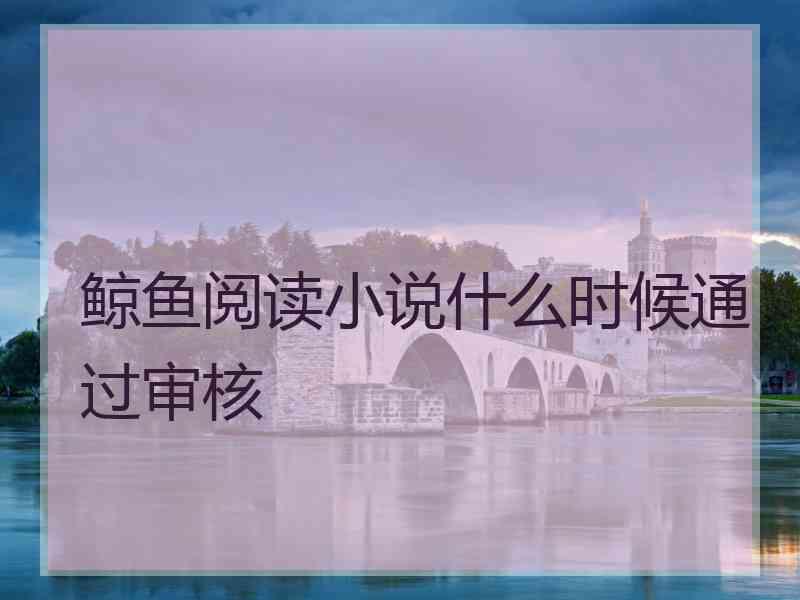 鲸鱼阅读小说什么时候通过审核
