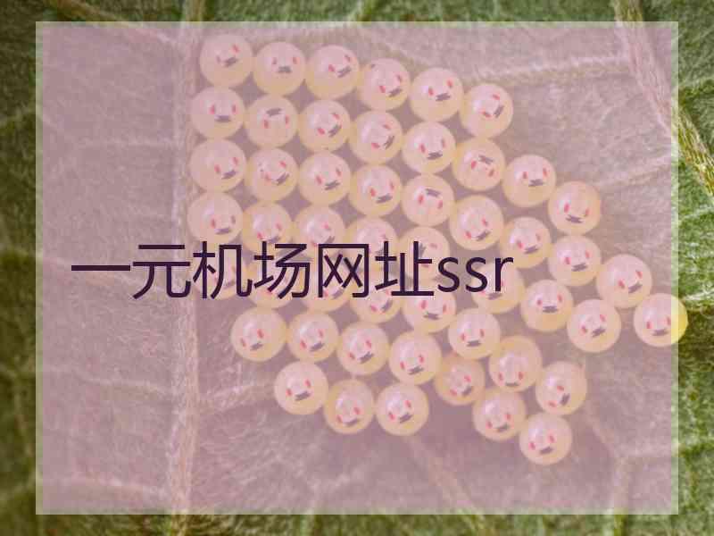 一元机场网址ssr