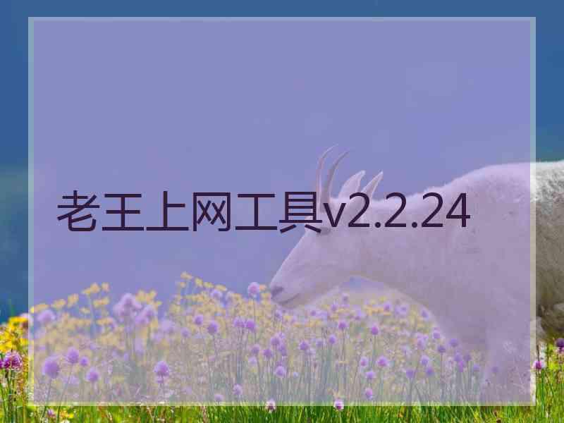 老王上网工具v2.2.24