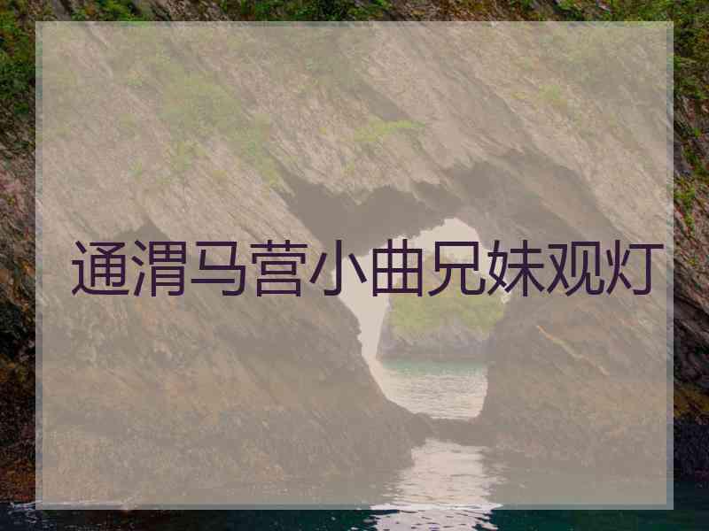 通渭马营小曲兄妹观灯