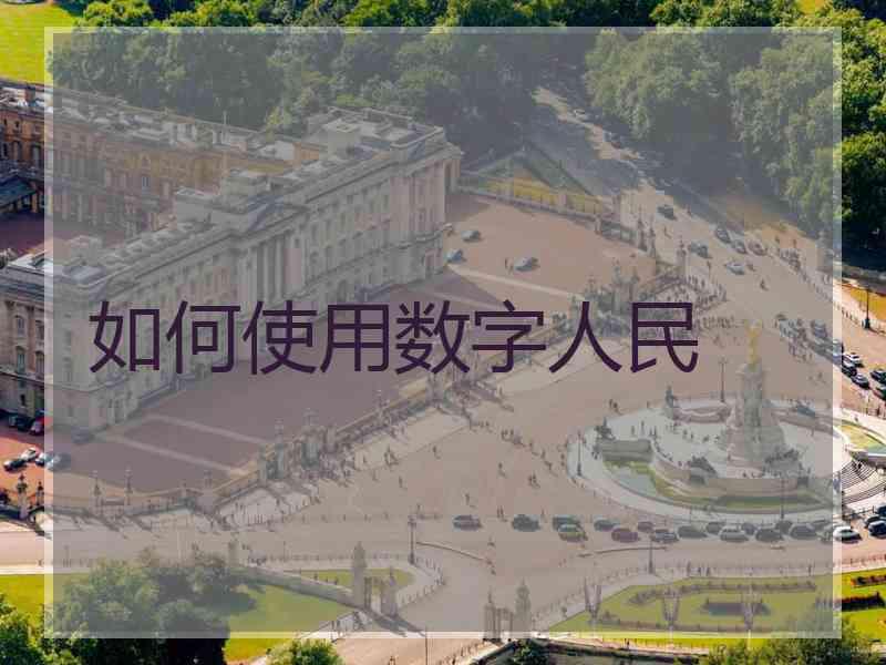 如何使用数字人民