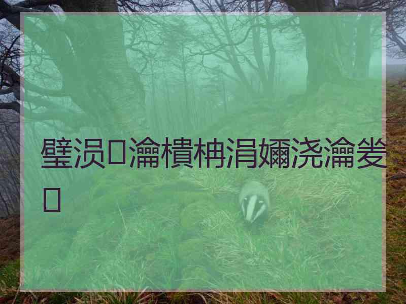 璧涢瀹樻柟涓嬭浇瀹夎
