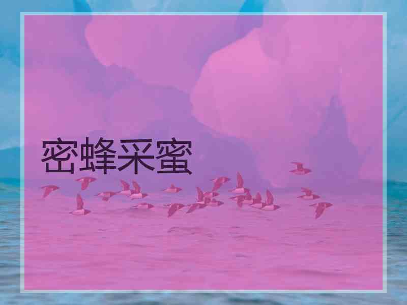 密蜂采蜜