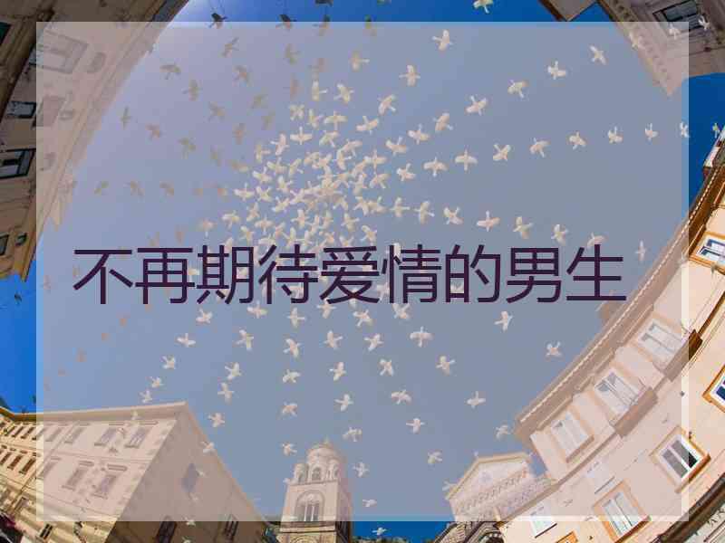 不再期待爱情的男生