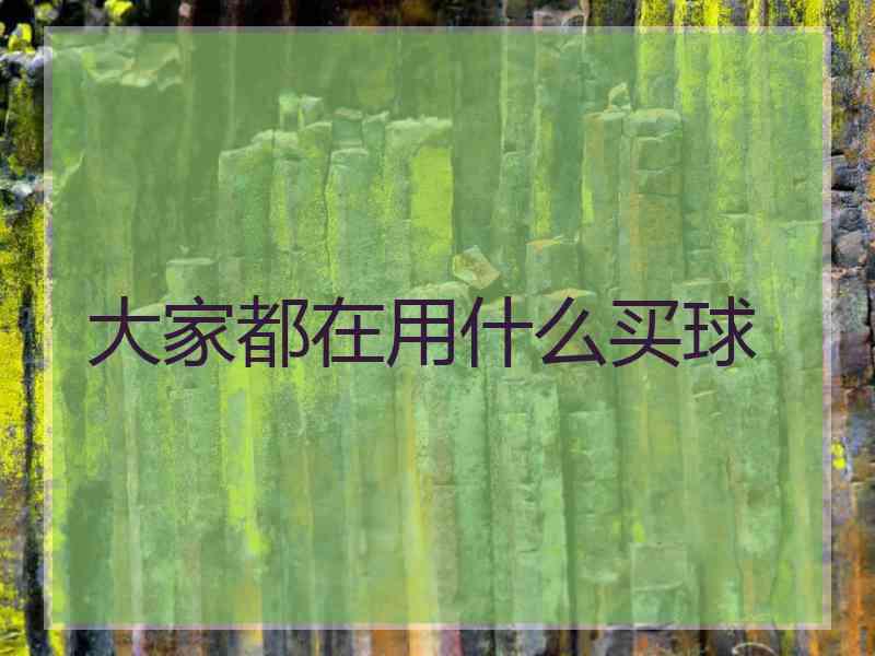 大家都在用什么买球
