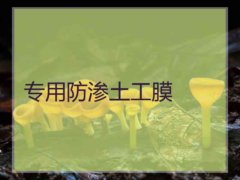 专用防渗土工膜