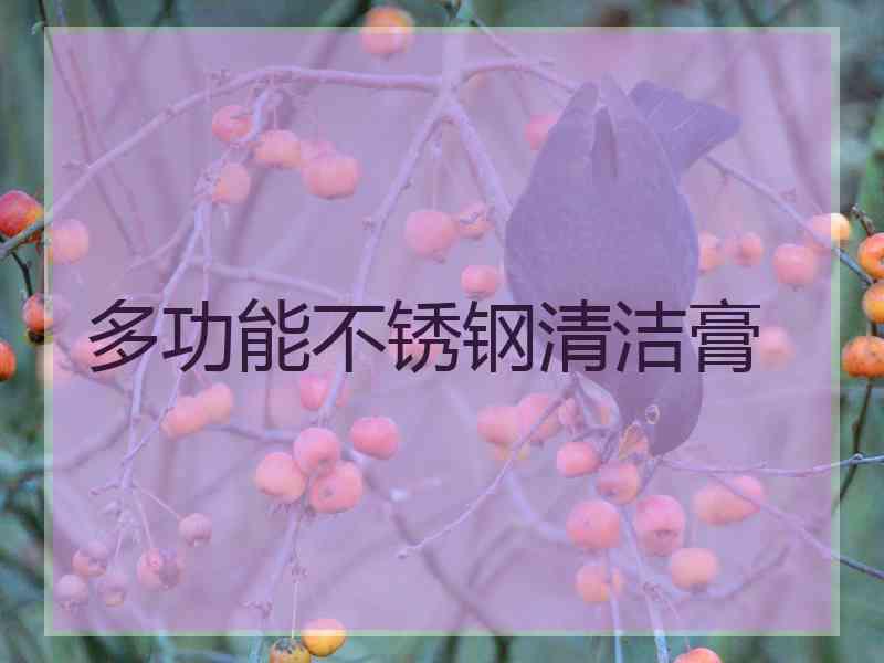 多功能不锈钢清洁膏