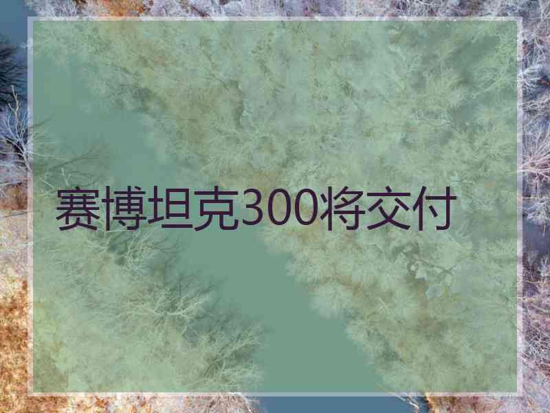 赛博坦克300将交付