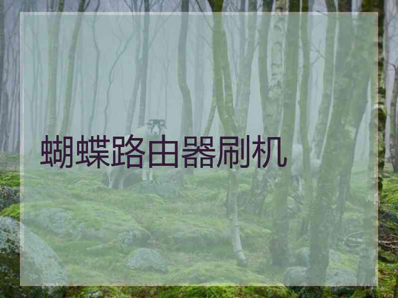蝴蝶路由器刷机