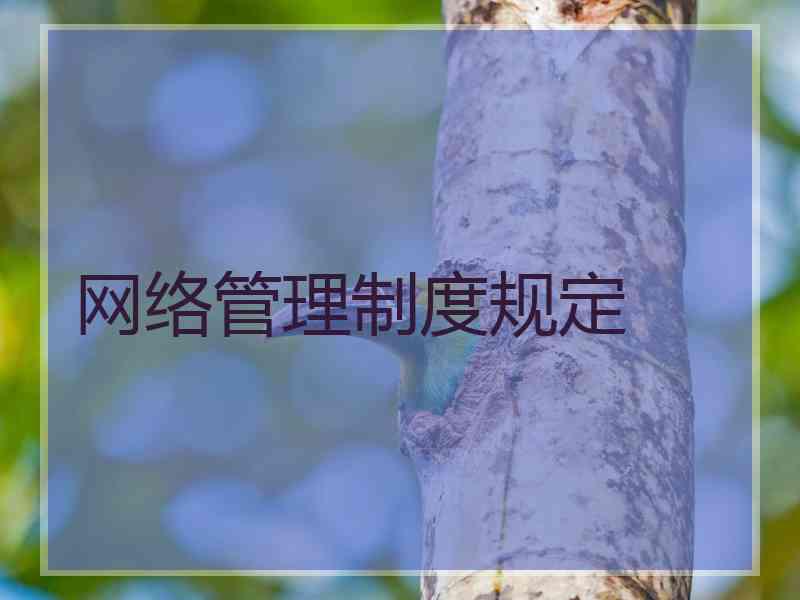网络管理制度规定