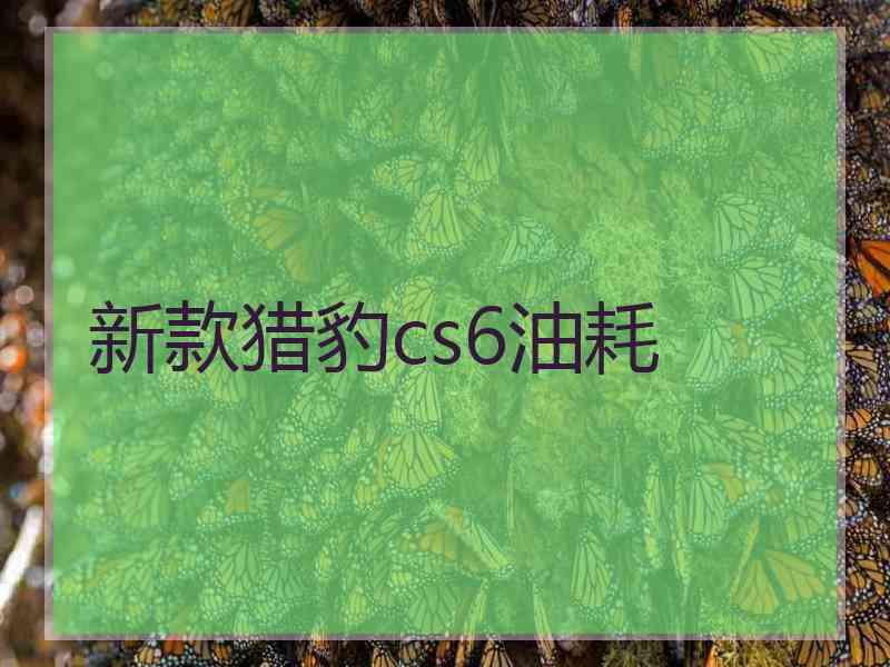 新款猎豹cs6油耗