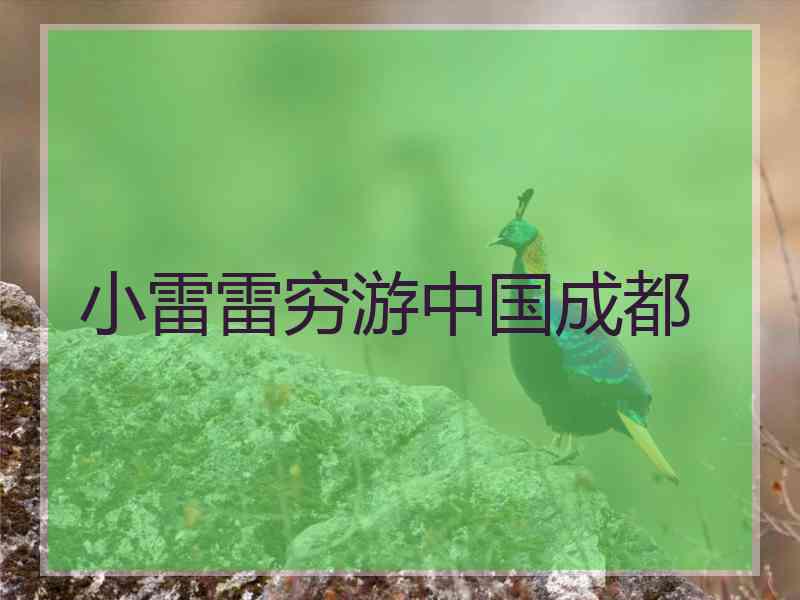小雷雷穷游中国成都