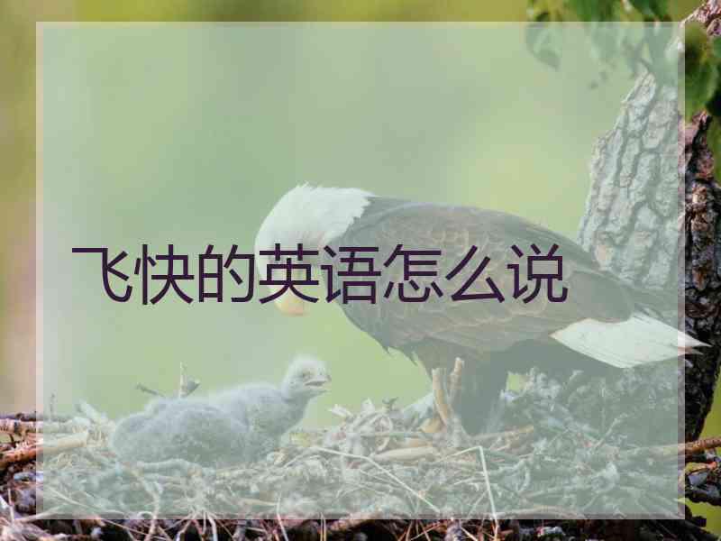 飞快的英语怎么说
