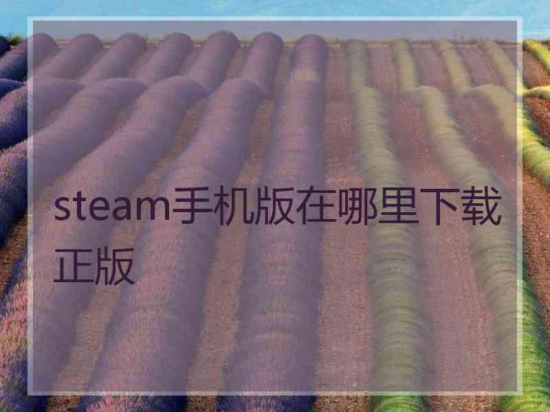 steam手机版在哪里下载正版