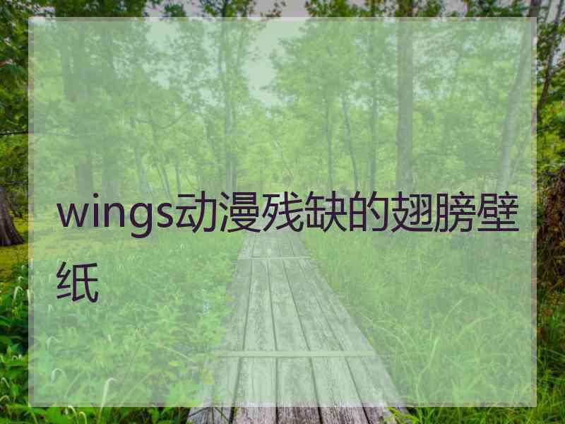 wings动漫残缺的翅膀壁纸