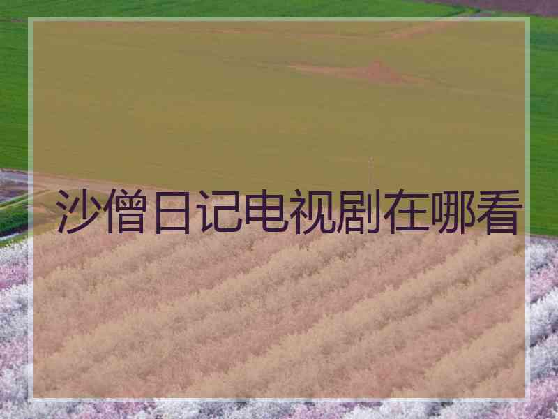 沙僧日记电视剧在哪看