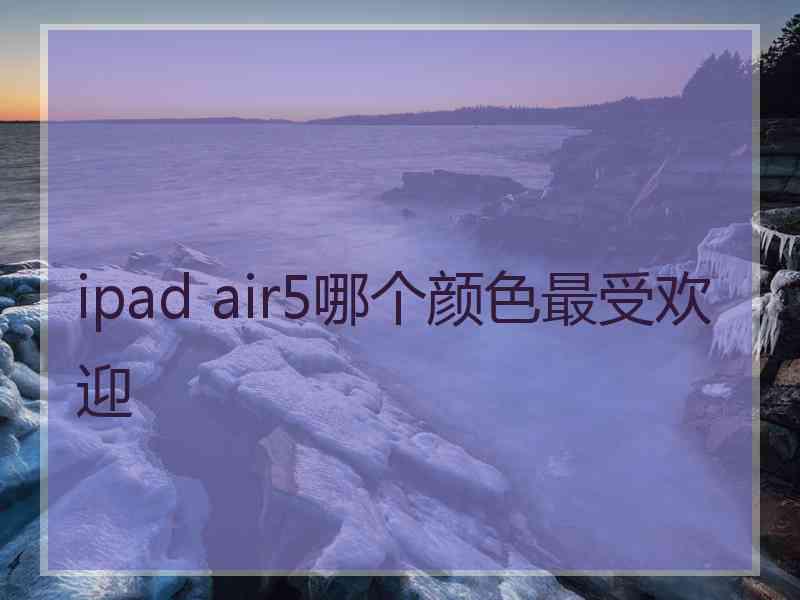 ipad air5哪个颜色最受欢迎