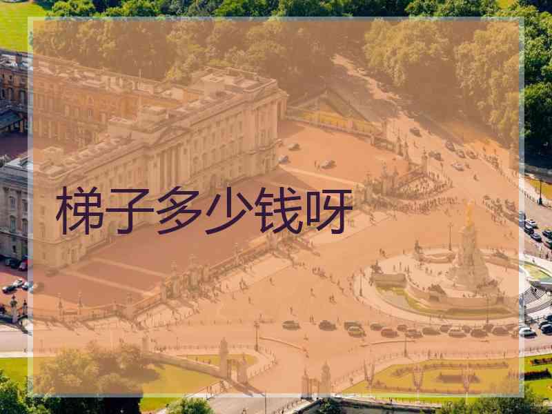 梯子多少钱呀