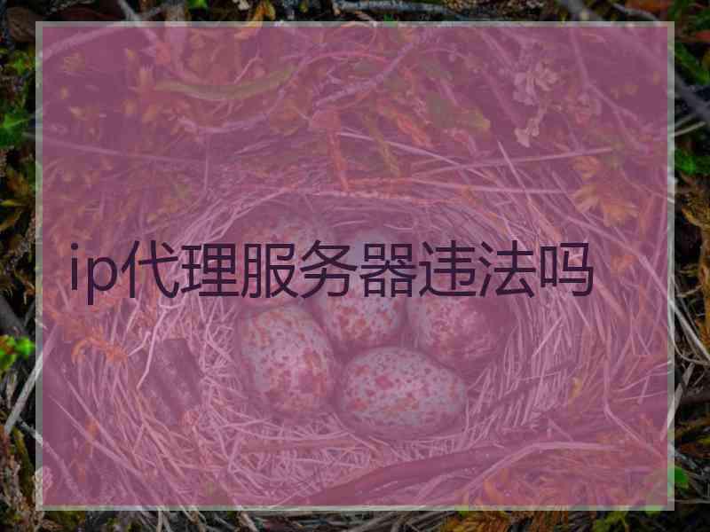 ip代理服务器违法吗