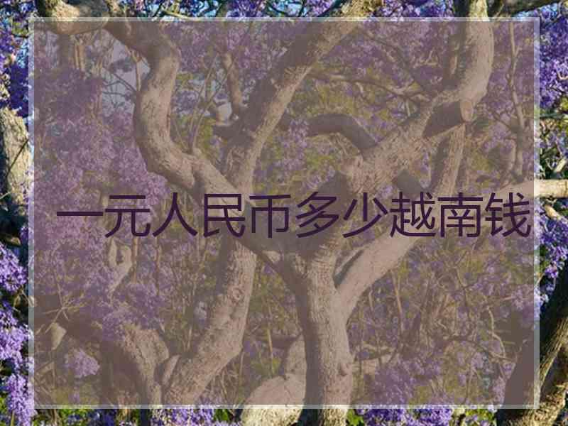 一元人民币多少越南钱