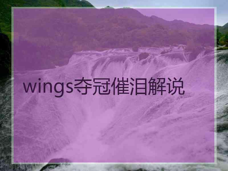 wings夺冠催泪解说