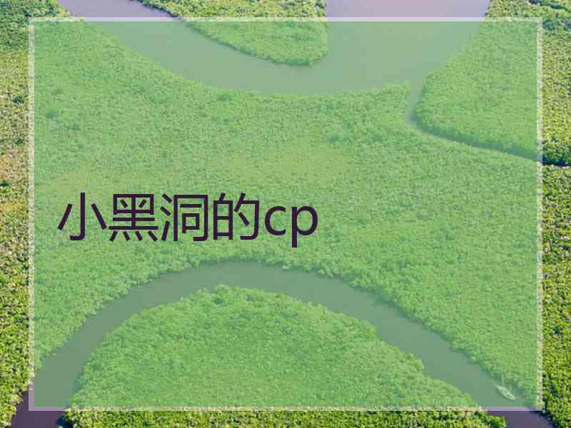 小黑洞的cp