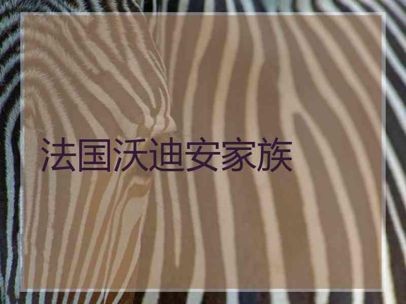 法国沃迪安家族