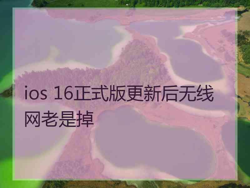 ios 16正式版更新后无线网老是掉