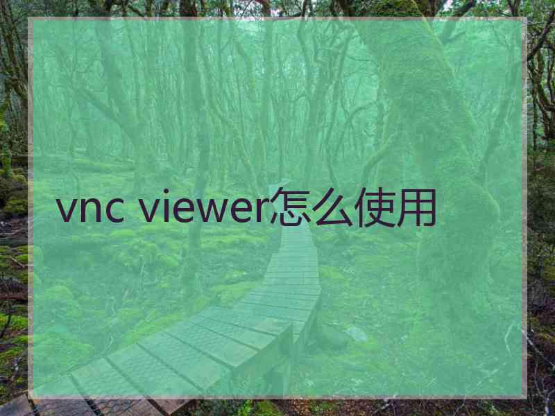 vnc viewer怎么使用