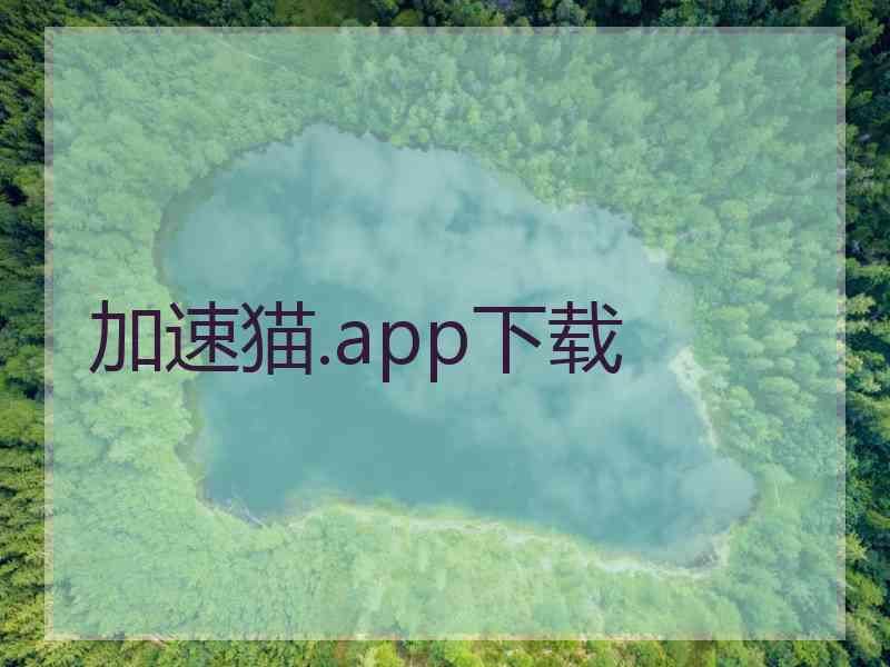加速猫.app下载