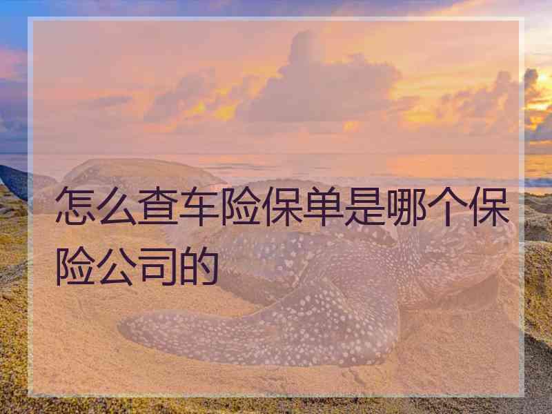 怎么查车险保单是哪个保险公司的
