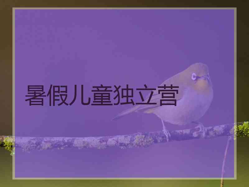 暑假儿童独立营