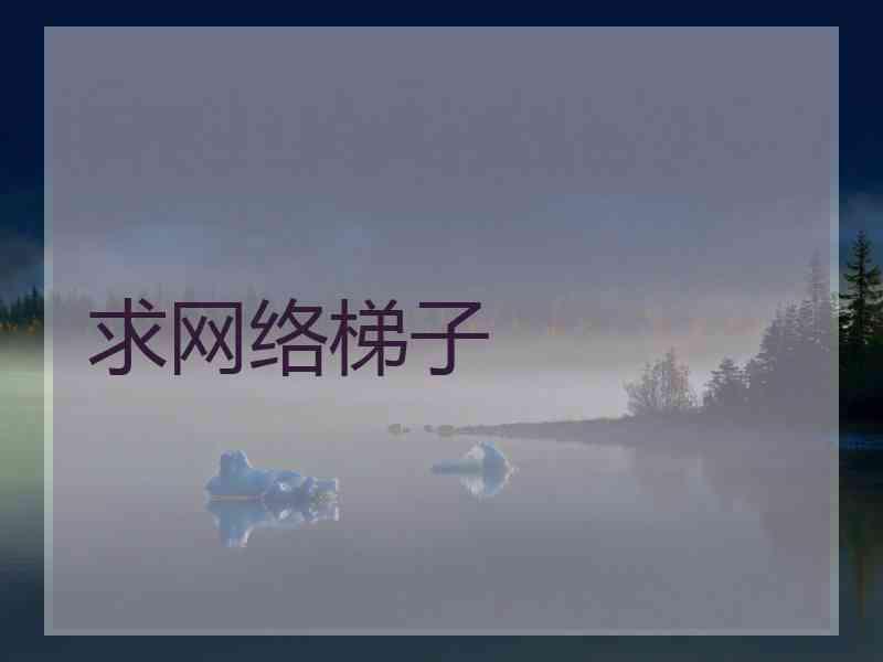 求网络梯子