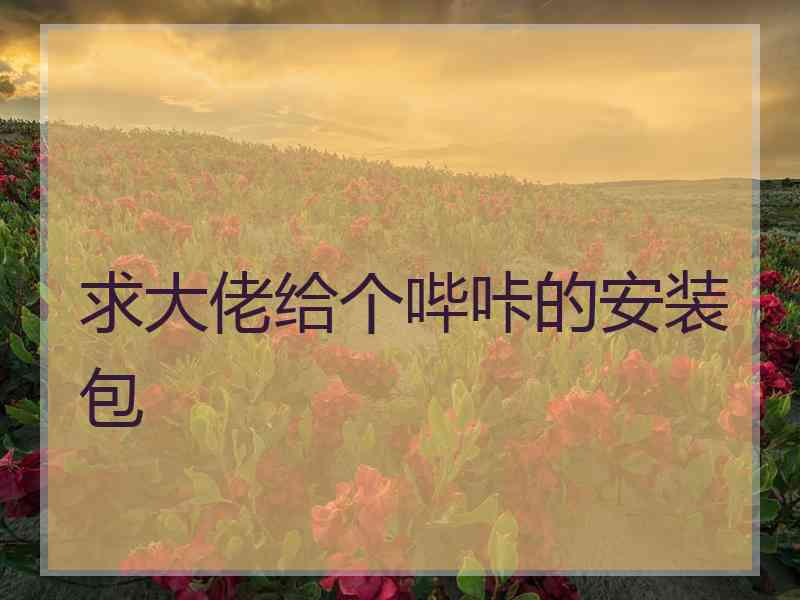 求大佬给个哔咔的安装包